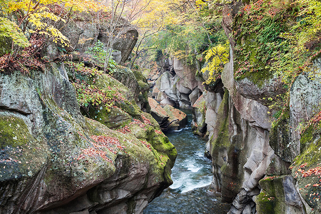 A journey through nature and culture that appeals to the five senses
