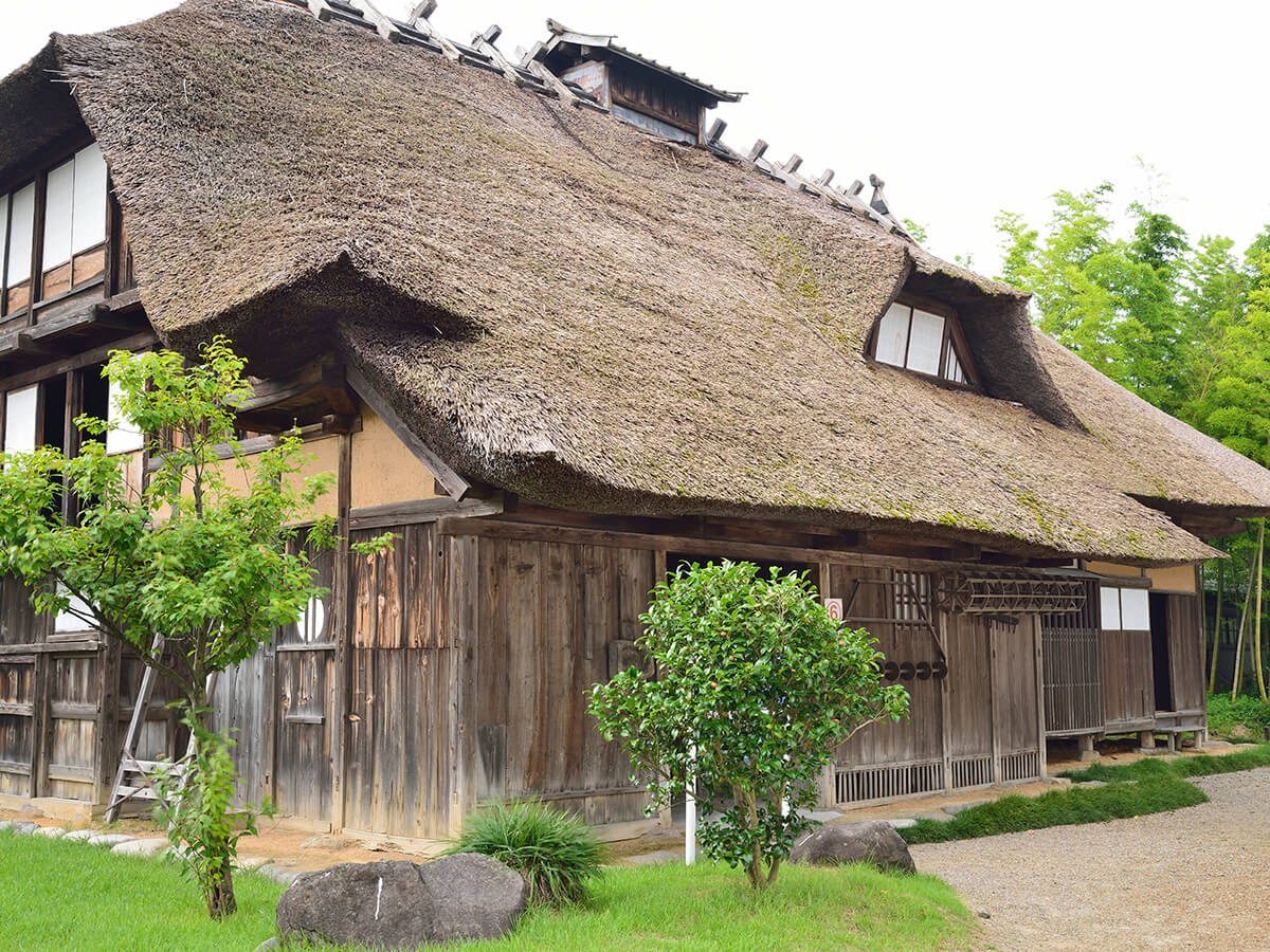 Chido Museum_3