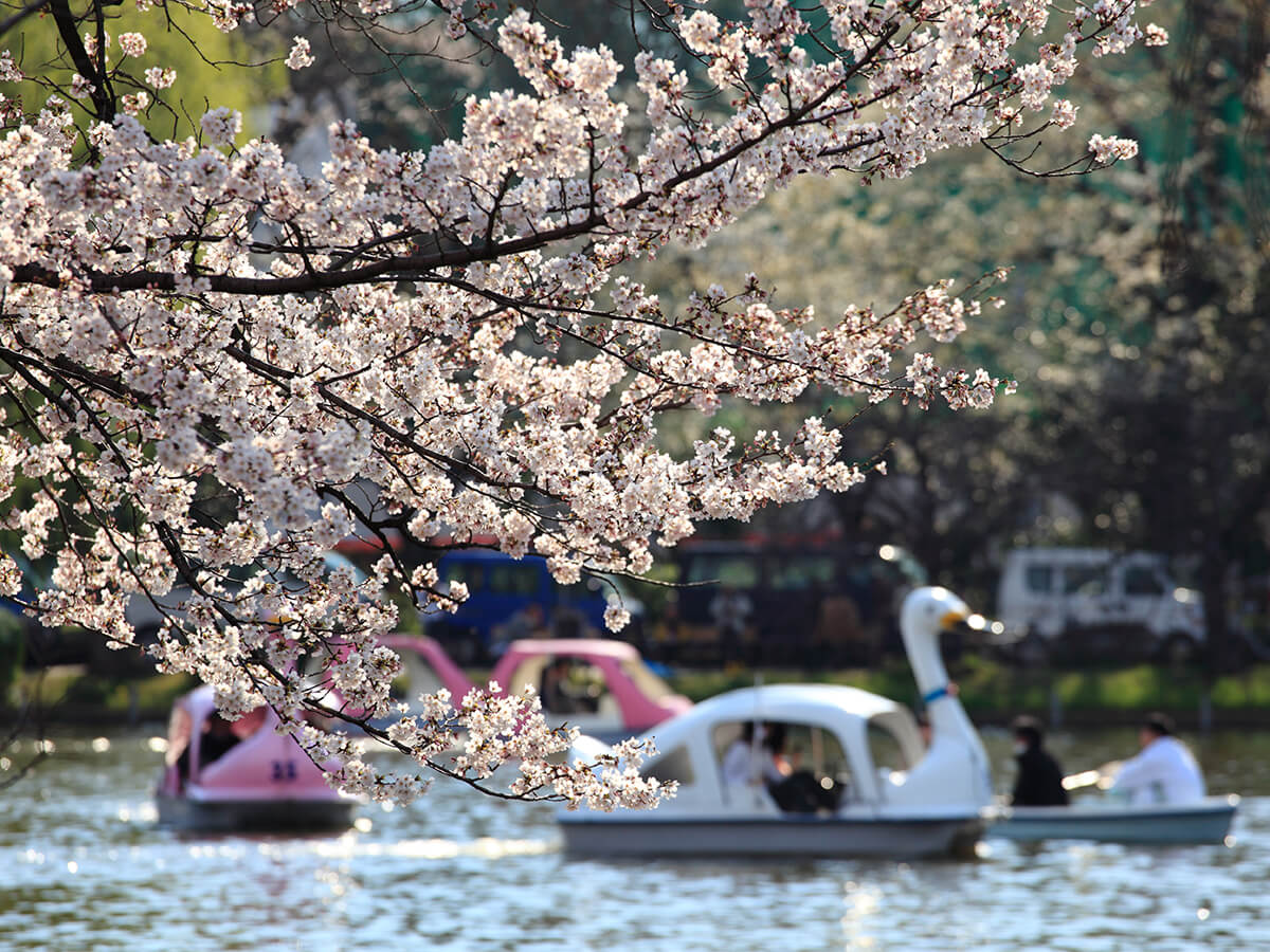 Ueno Park_3