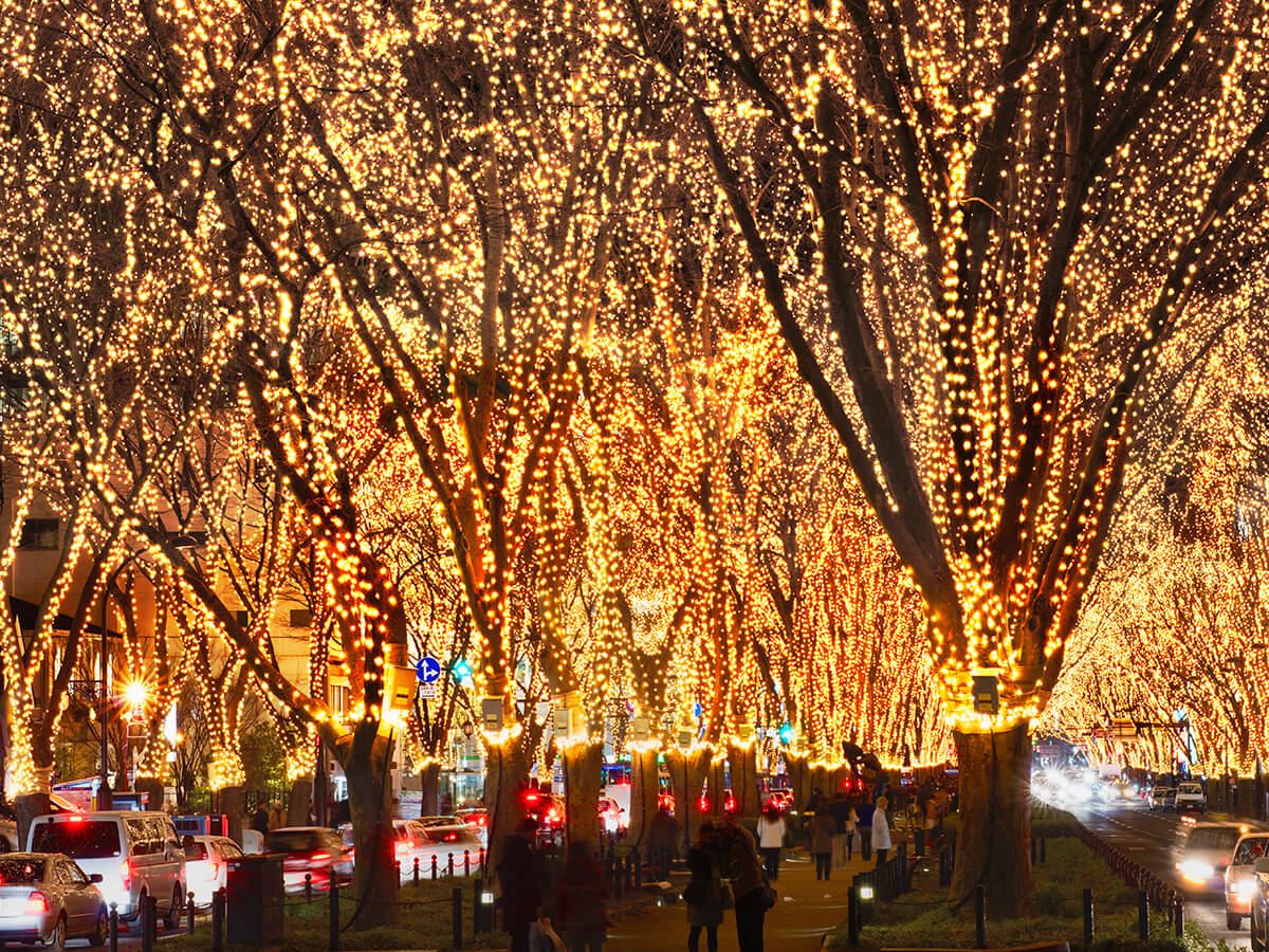 Jozenji-dori Ave._2