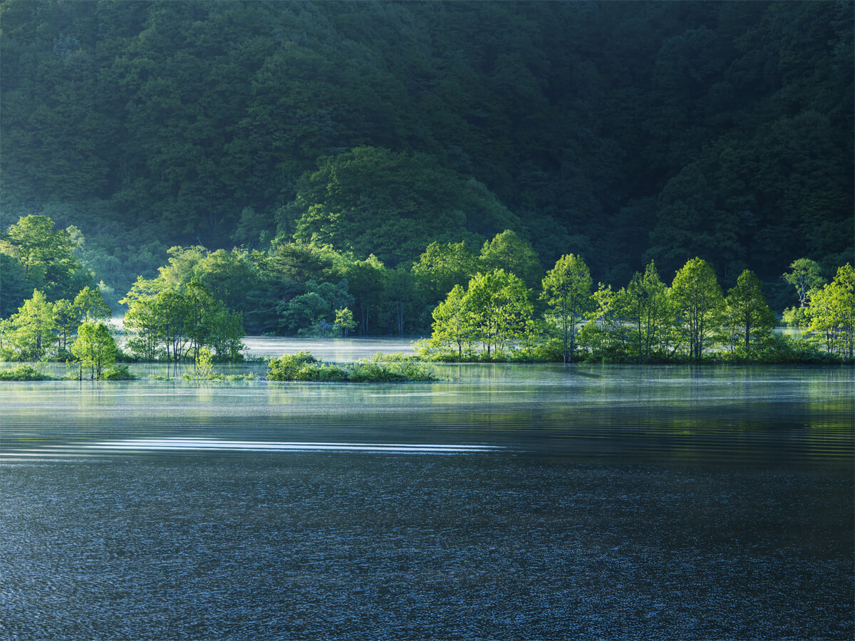 Goshikinuma Walking Trail_4