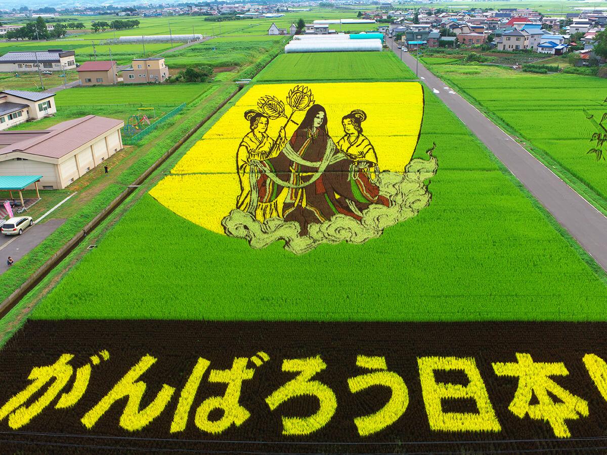 Rice Paddy Art_2