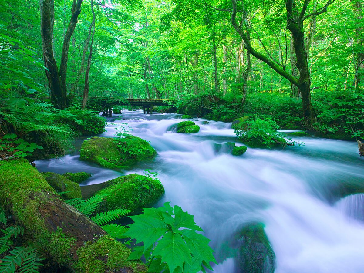 Oirase Gorge_1