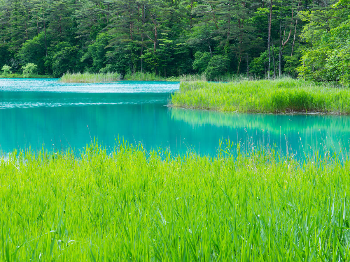 Goshikinuma Walking Trail_1