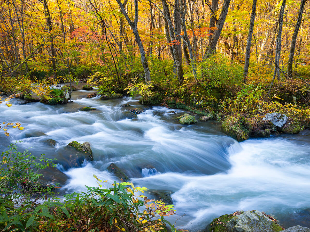 Oirase Gorge_2