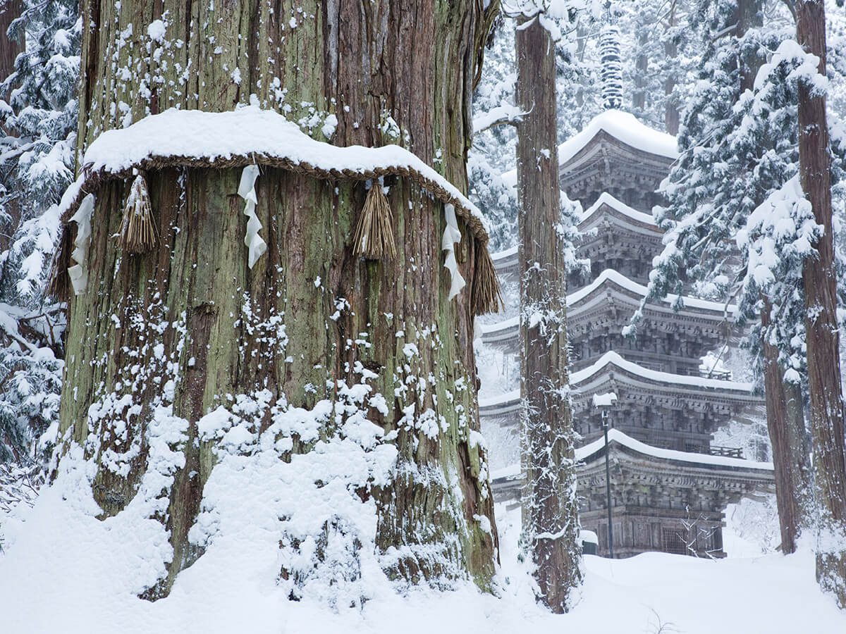 Mt. Haguro Goju-no-to (five storied pagoda)_2