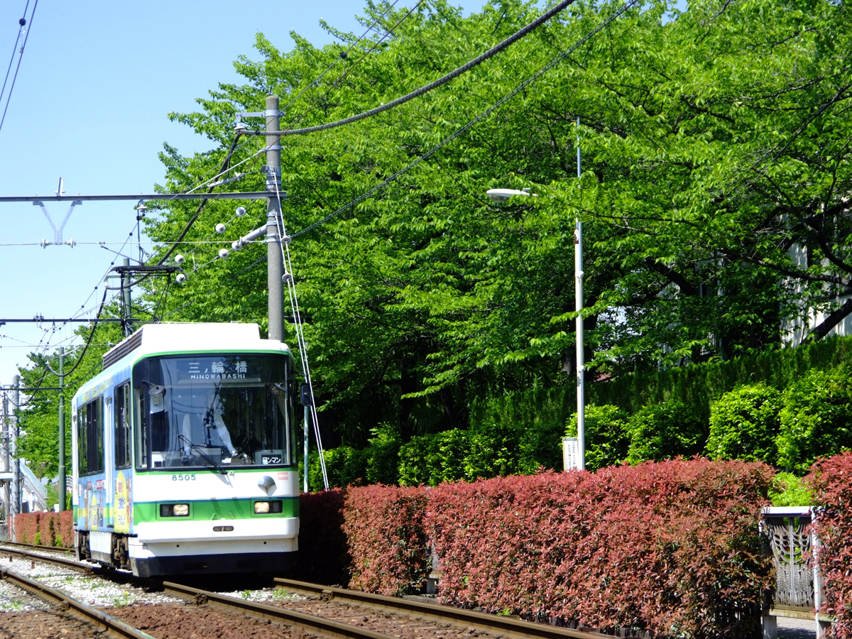 Tokyo Sakura Tram(Toden Arakawa Line)_1