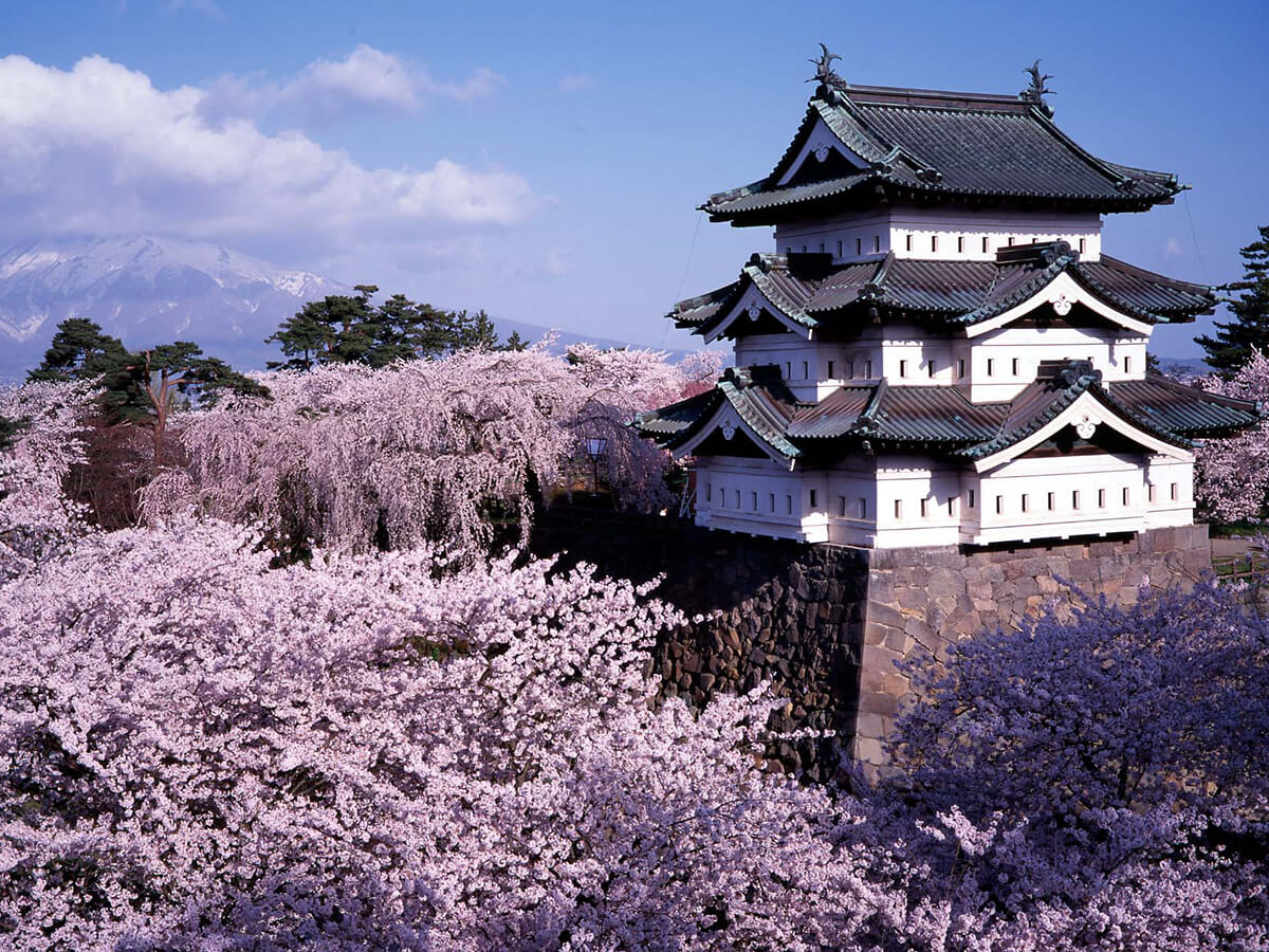 Hirosaki Park_1