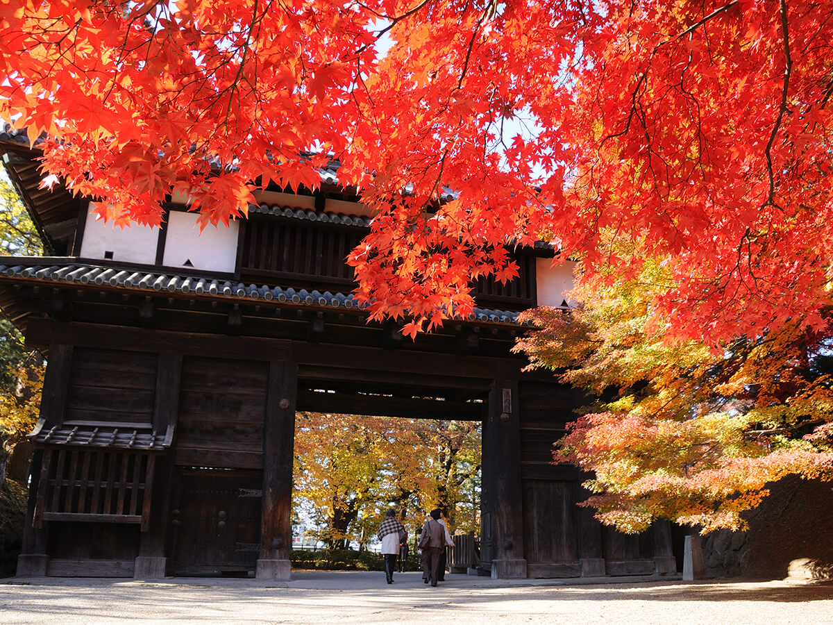 Hirosaki Park_3