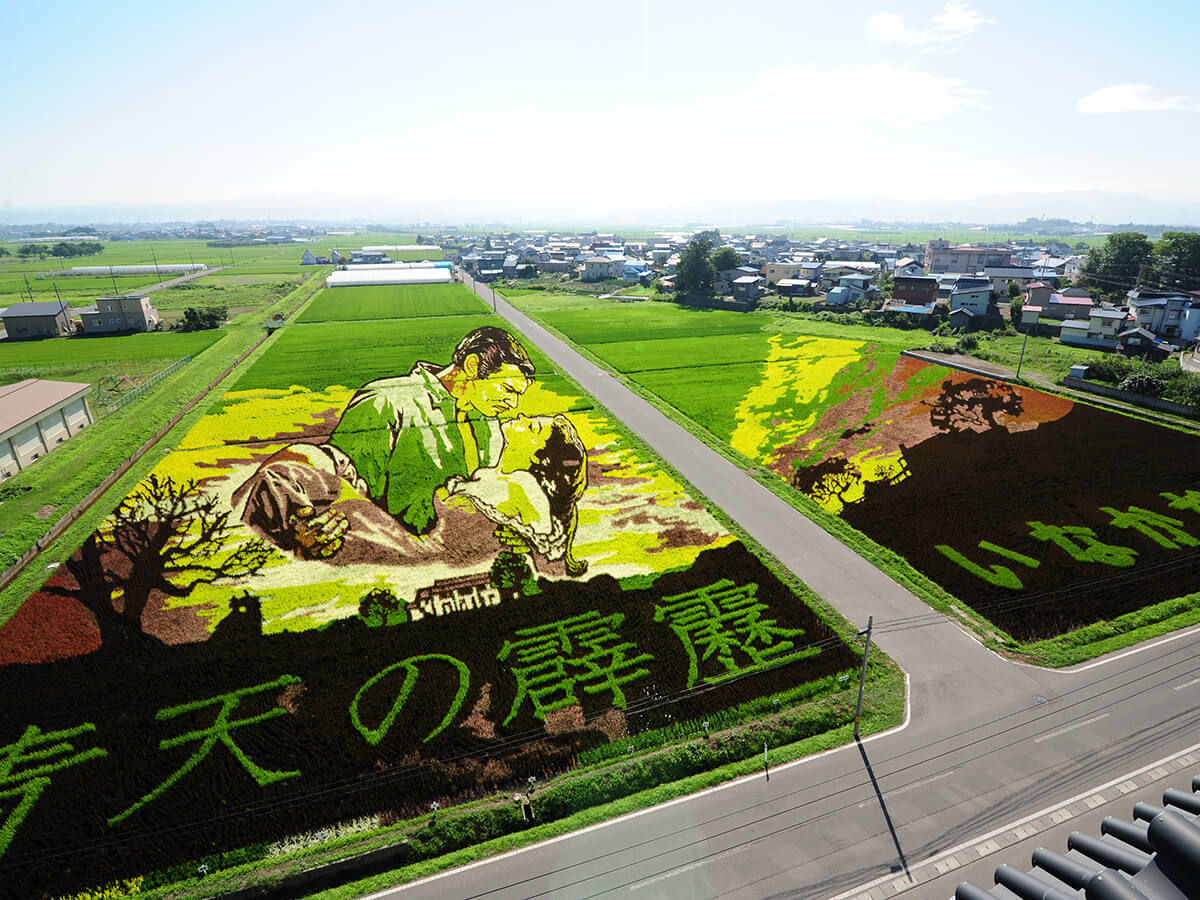Rice Paddy Art_1