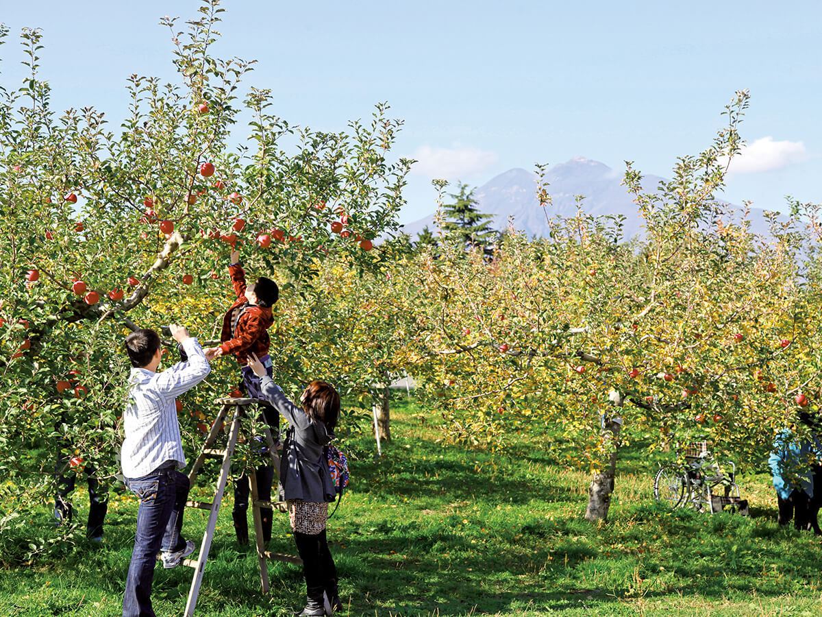 Hirosaki City Apple Park_3