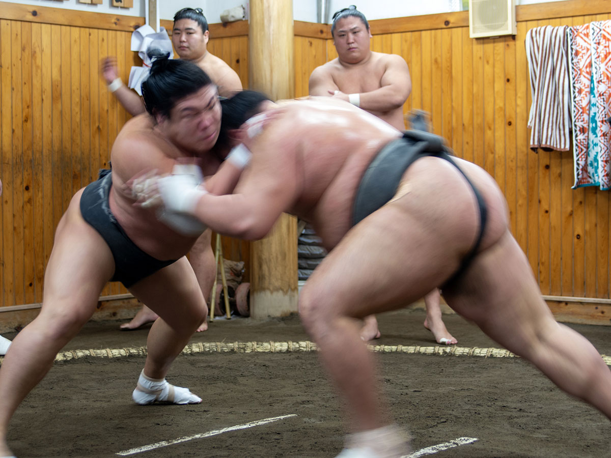 Sumo Stable (Arashio)_3