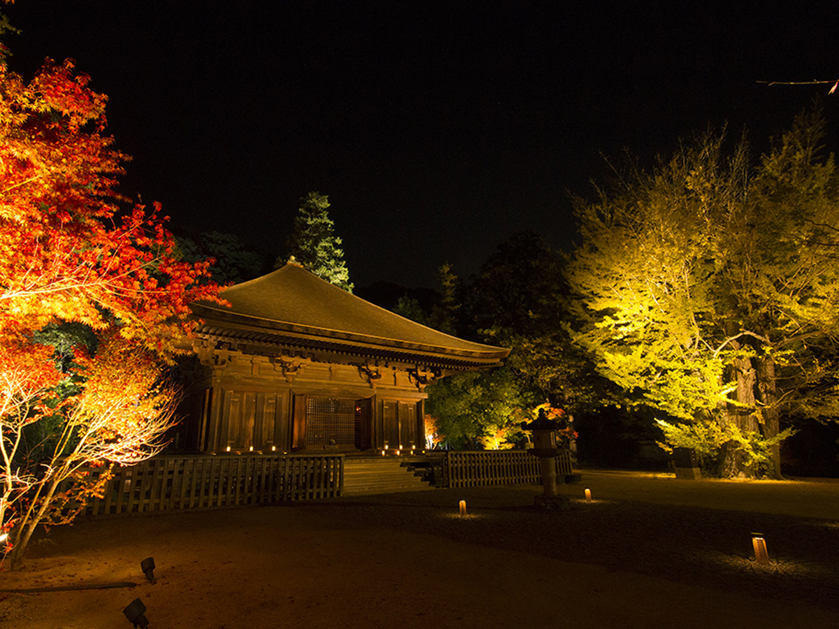 Shiramizu Amida-do_2