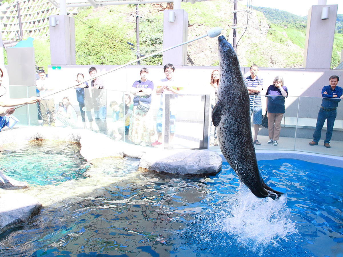 Oga Aquarium GAO_3