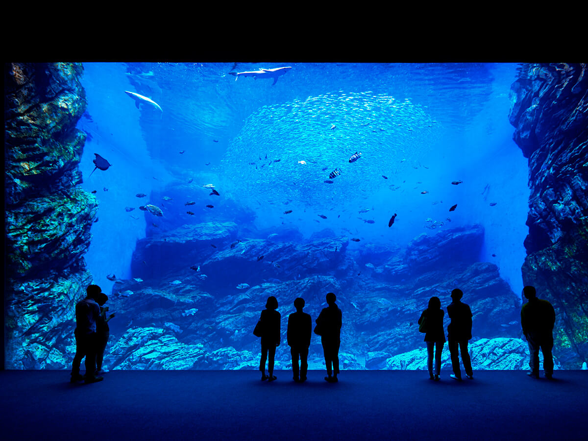 Sendai Umino-Mori Aquarium/Mitsui Outlet Park_1
