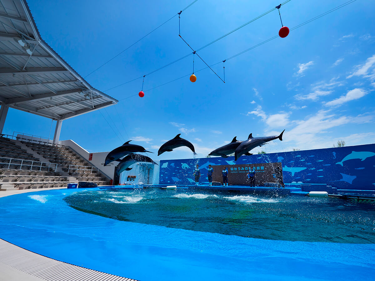Sendai Umino-Mori Aquarium/Mitsui Outlet Park_2