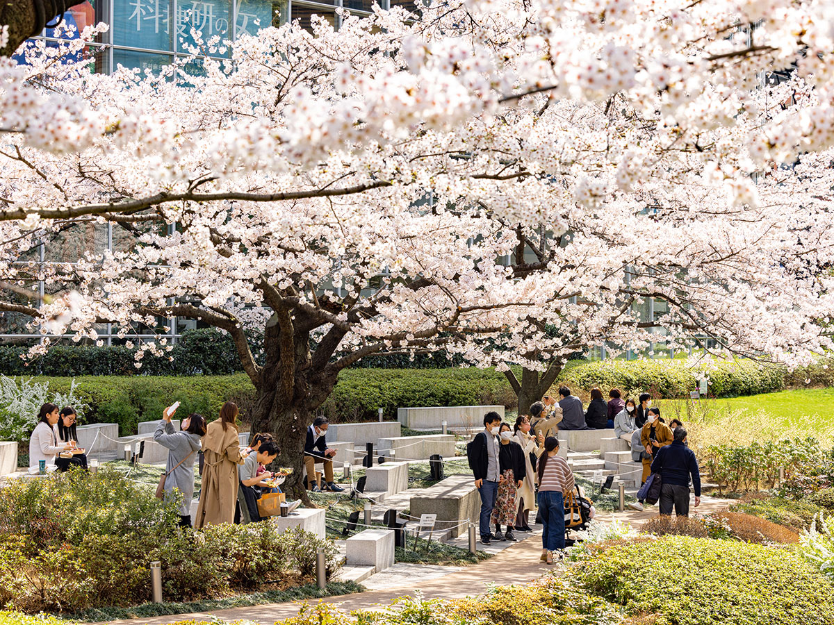 Mohri Garden_2