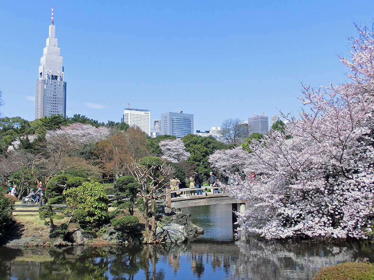 Shinjuku Gyoen National Garden_1