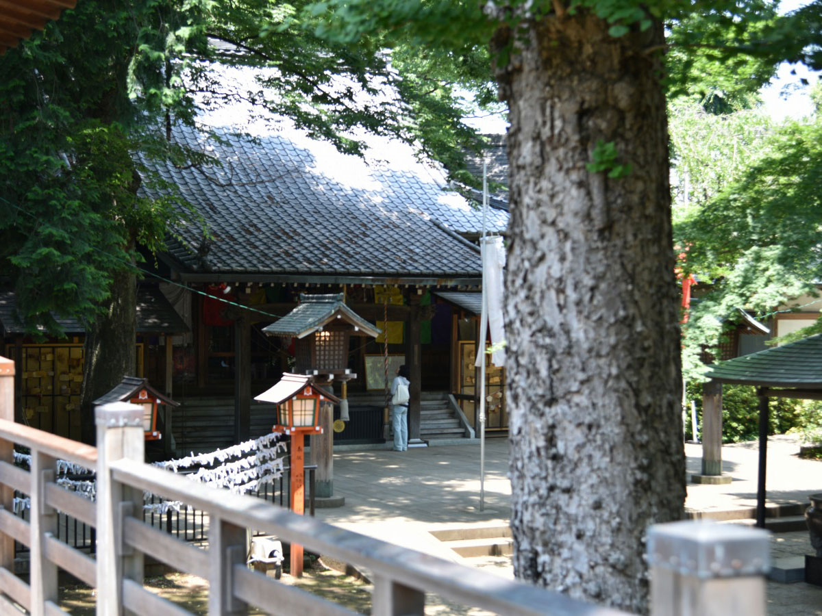 Todoroki Valley_4