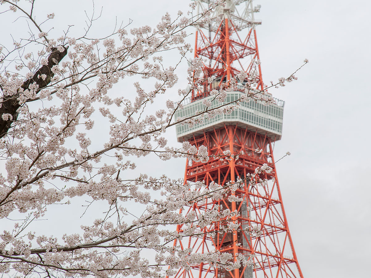 Tokyo Tower_4