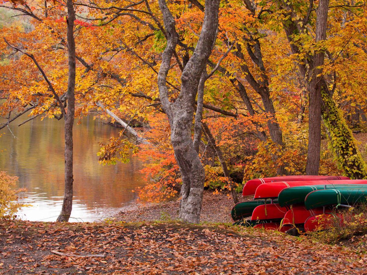 Lake Towada Canoe Tour_2