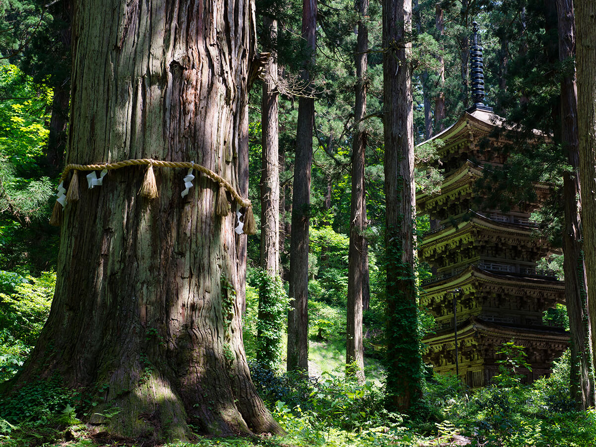 Mt. Haguro Goju-no-to (five storied pagoda)_3