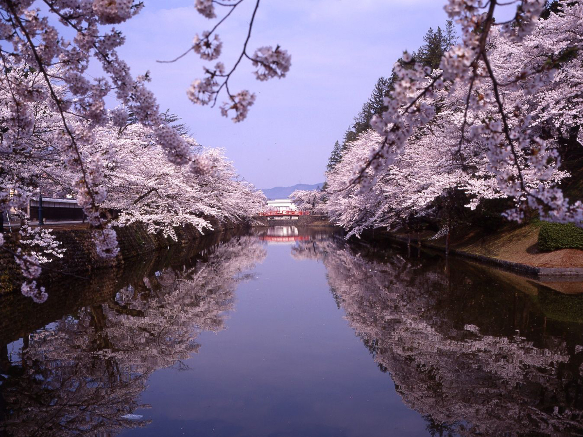 Uesugi-Jinja Shrine_3