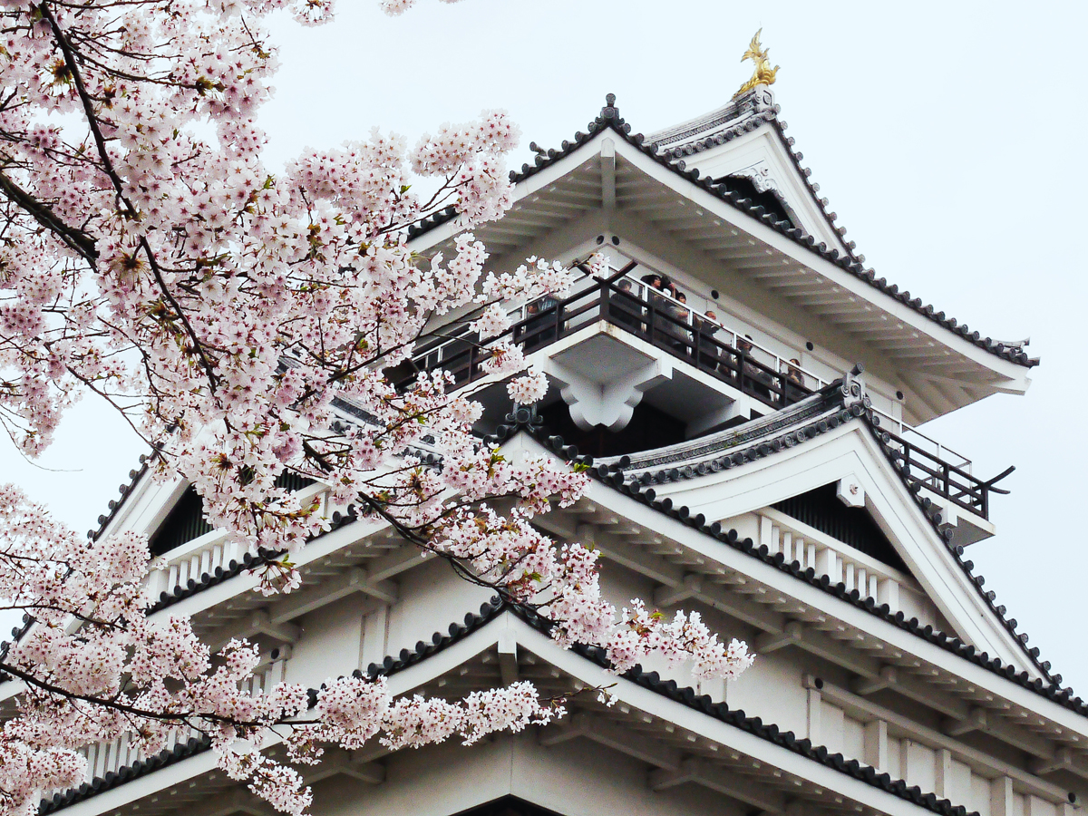 Kaminoyama Castle_2