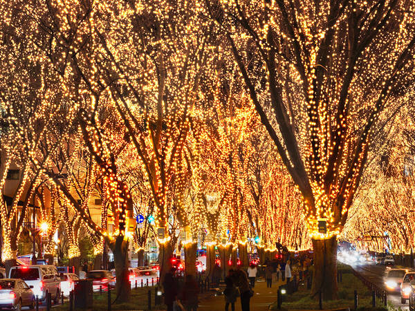 Jozenji-dori Ave.