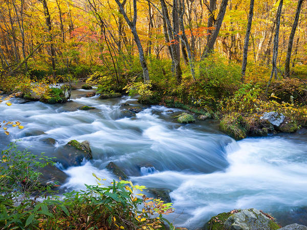 Oirase Stream Cycling