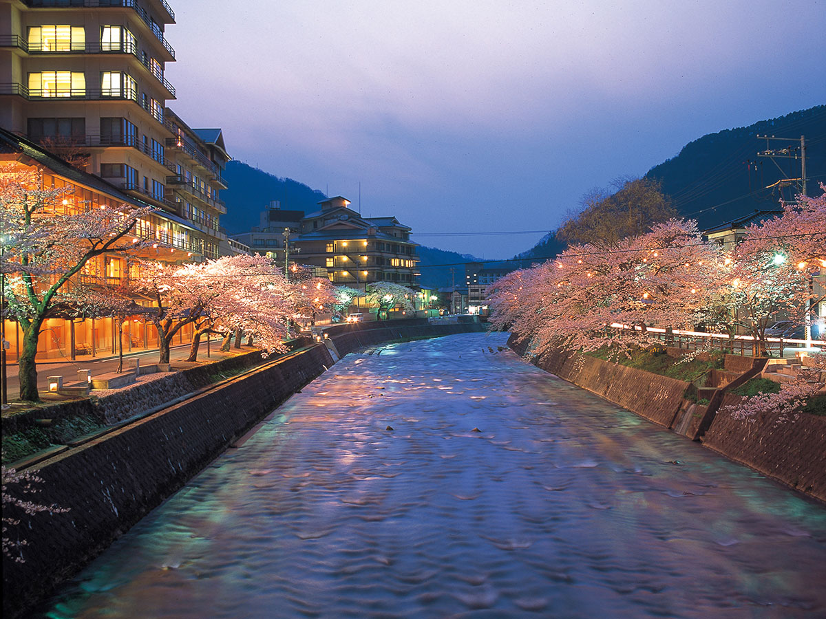 Atsumi Onsen Hot Springs