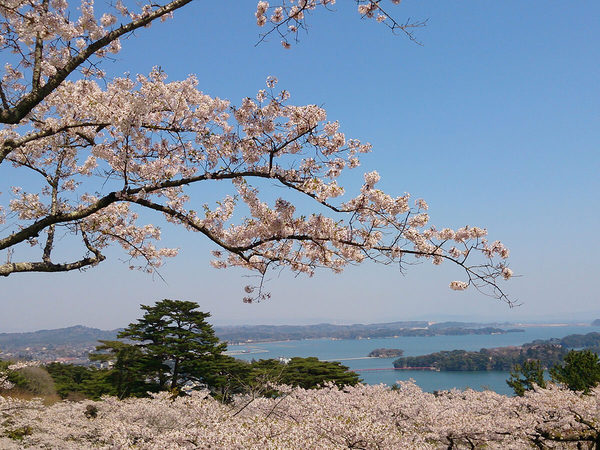 Matsushima Islands Area