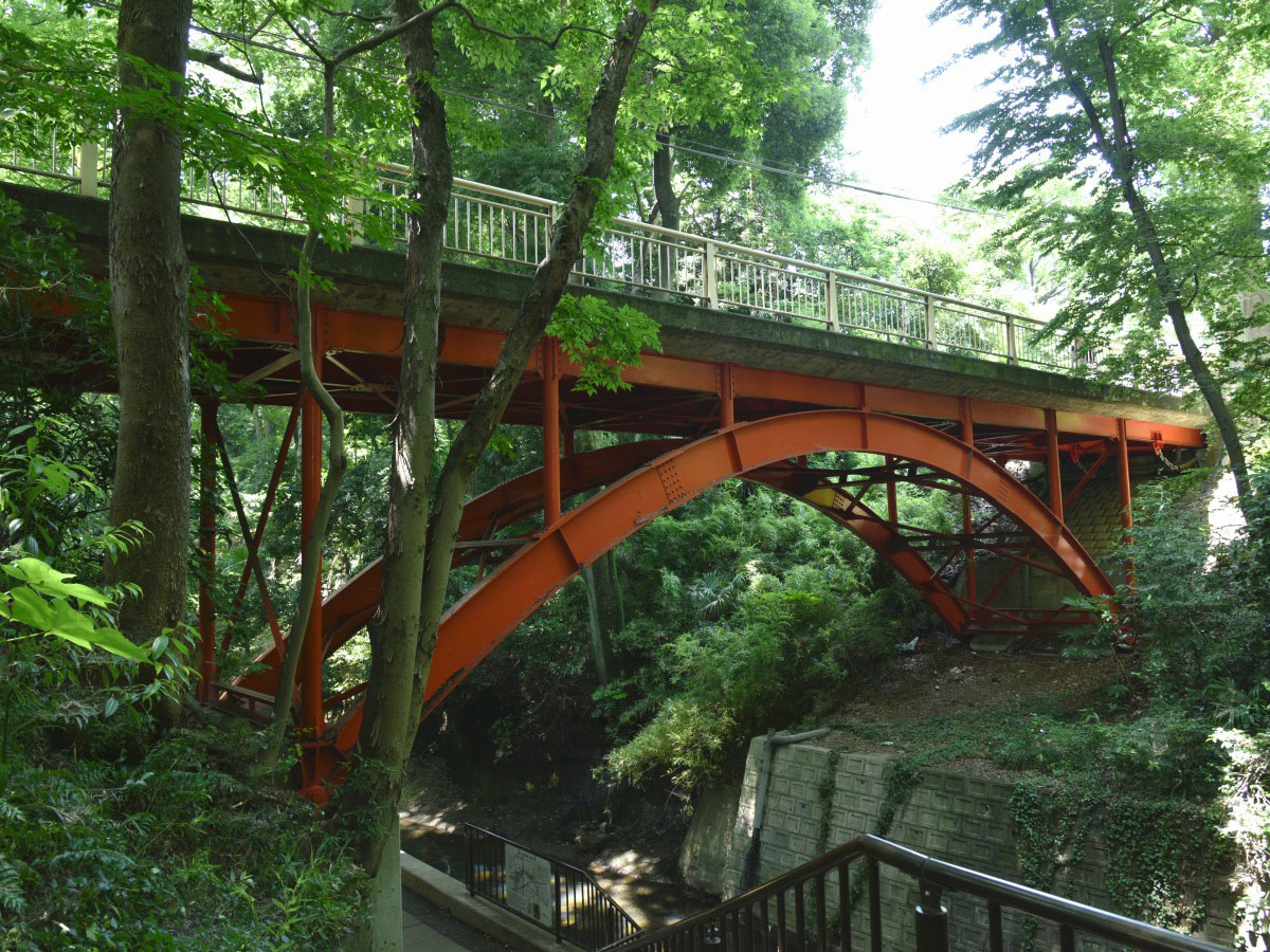 Todoroki Valley
