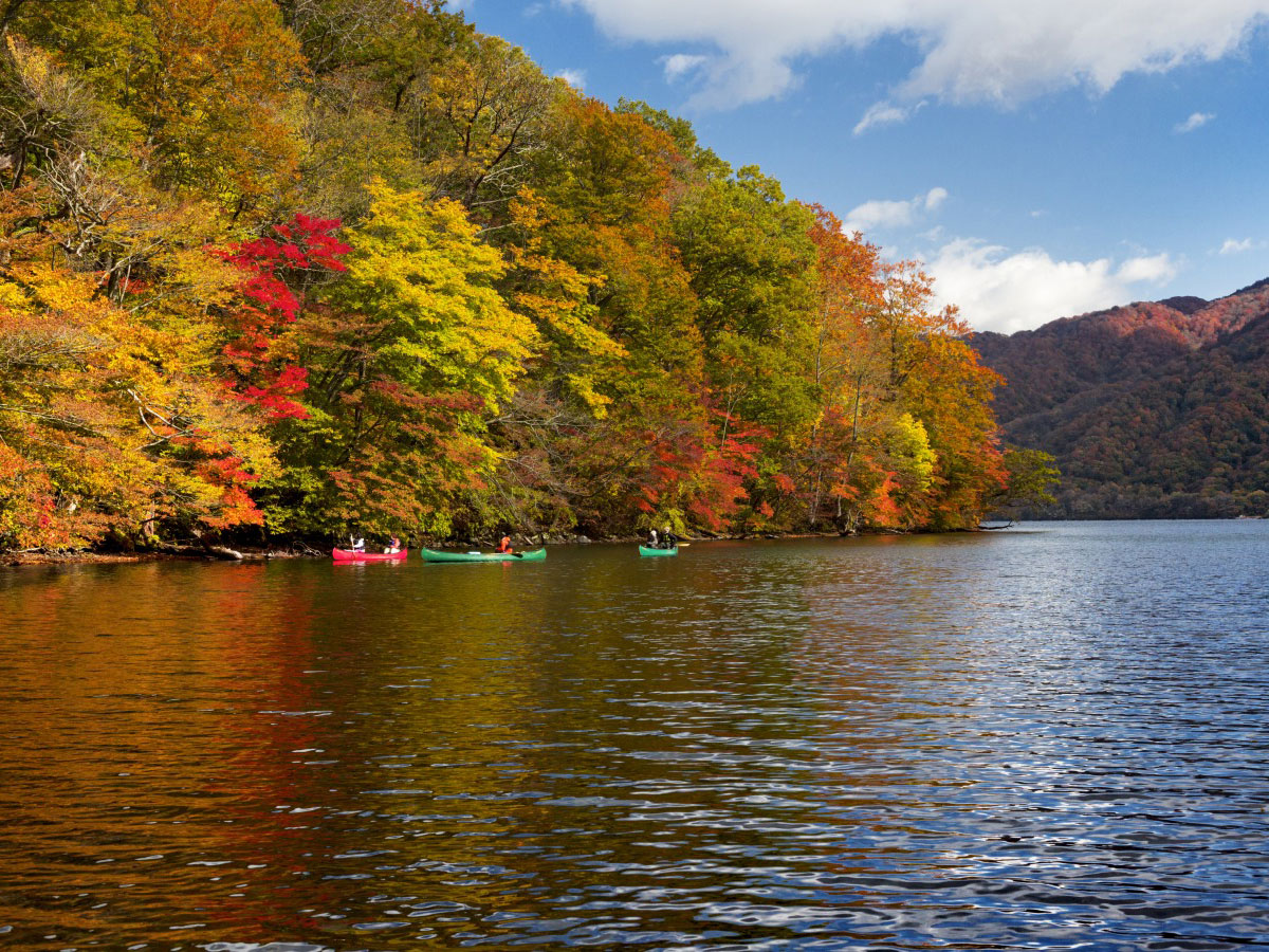 Lake Towada Canoe Tour