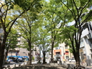Azabu-Juban_1