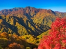 World Natural Heritage Site, Shirakami-Sanchi_3