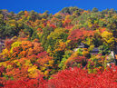 Yamadera(Risshaku-ji Temple)_3