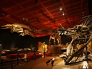 Iwakishi Sekitan Kasekikan, Horuru (Iwaki Coal and Fossil Museum) (Currently closed)_3