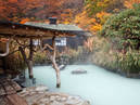 Nyuto-onsen-kyo Hot Springs Village_3