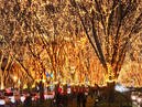 Jozenji-dori Ave._2
