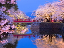Uesugi-Jinja Shrine_4