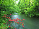 Oirase Gorge_4