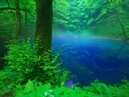 World Natural Heritage Site, Shirakami-Sanchi_4