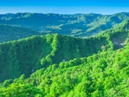 World Natural Heritage Site, Shirakami-Sanchi_1