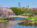 Hama-rikyu Gardens_2