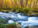 Oirase Gorge_2