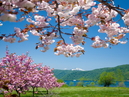 Lake Towada Excursion Boat_4