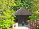 Shiramizu Amida-do_1