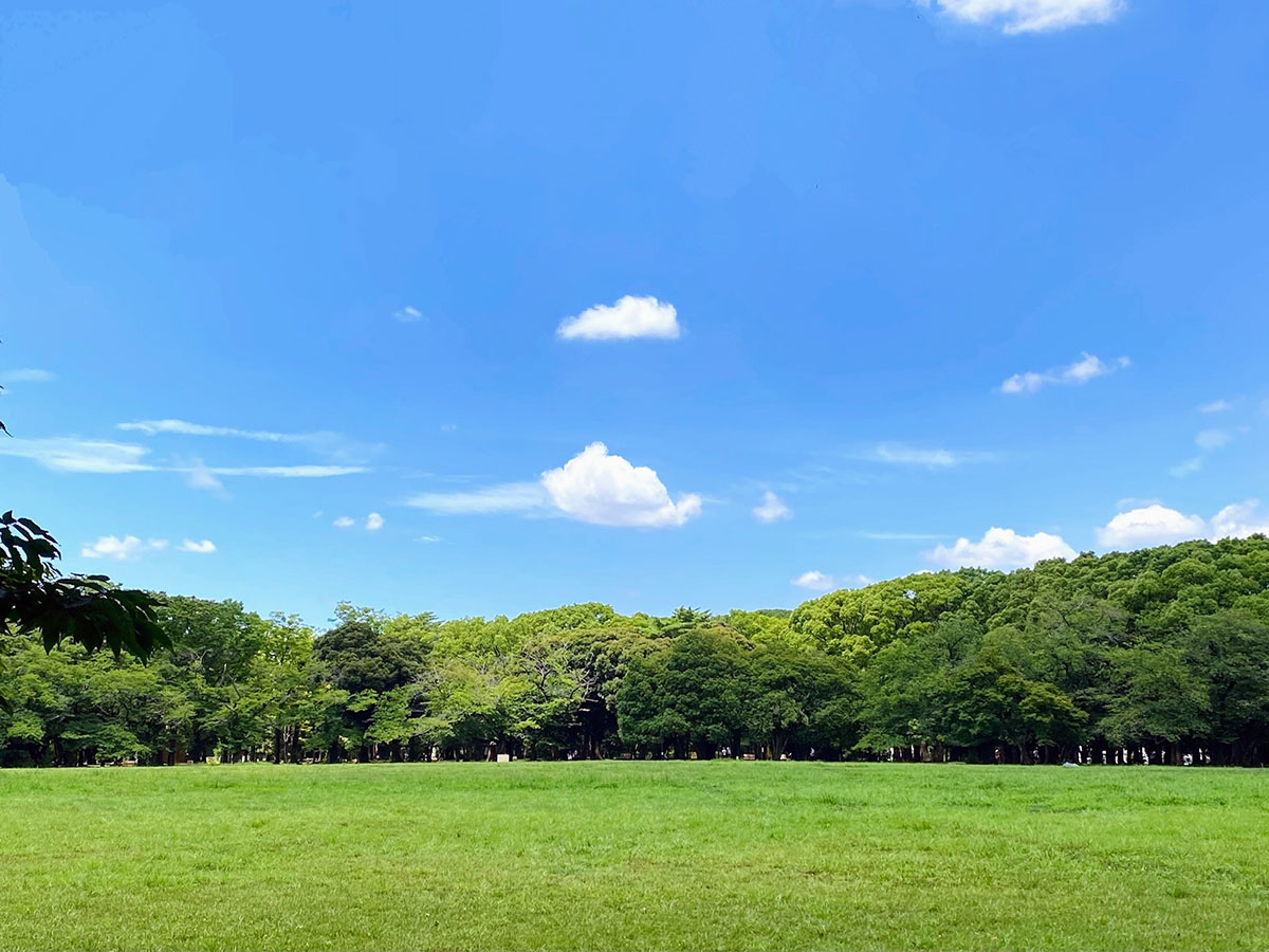 Tomigaya_2