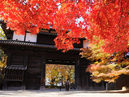 Hirosaki Park_3